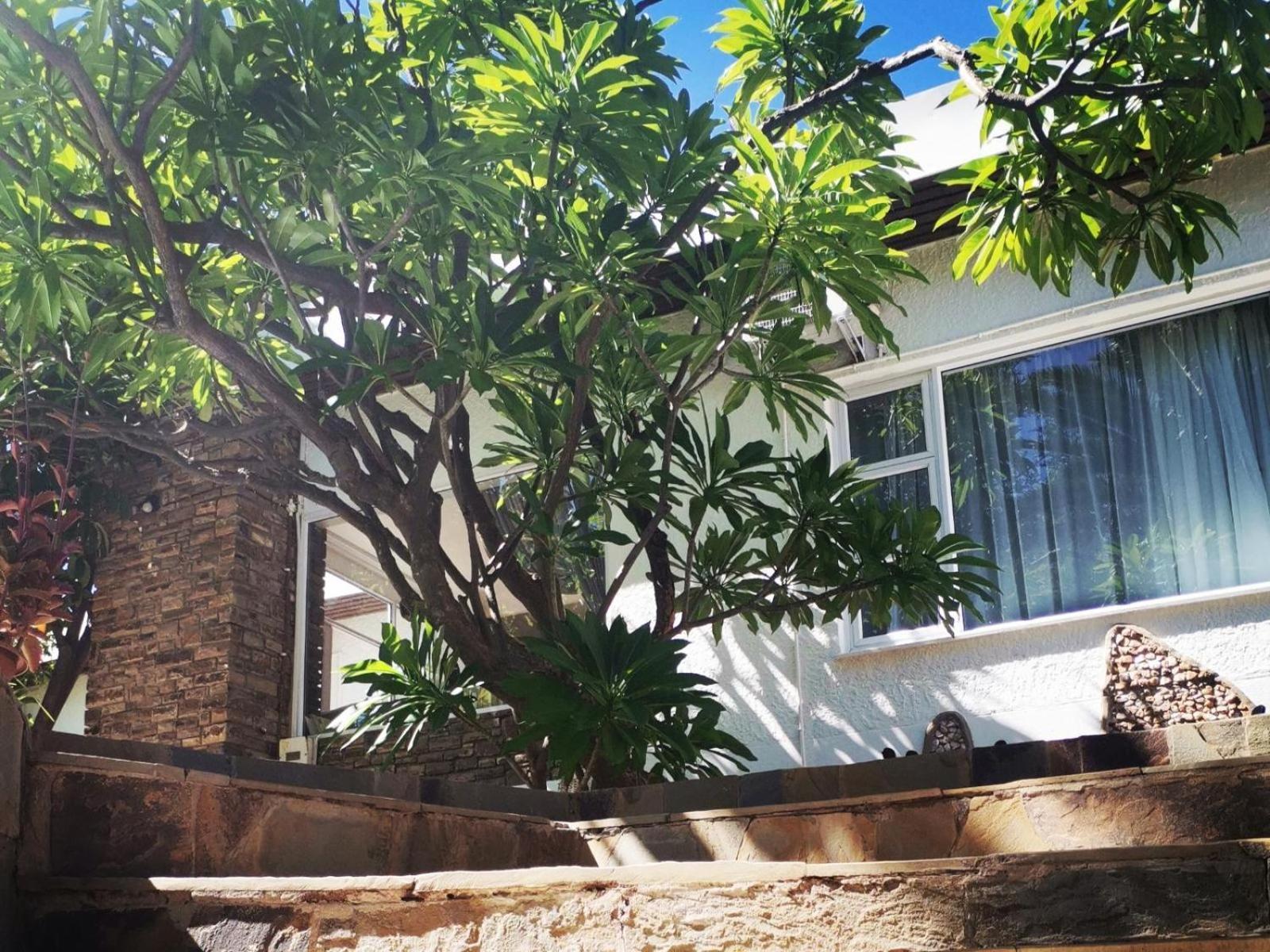 Guesthouse Terra Africa Windhoek Exterior photo